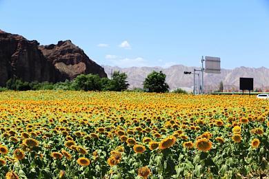 传索尼PlayStation夏季发布会几周后举行