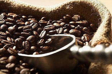 文字冒险游戏《Moonless Moon》8月8日发售 支持中文